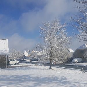 Meet your Posher, Juan